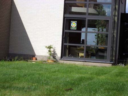 Affichecampagne-JPT-021