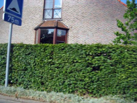 Affichecampagne-JPT-057