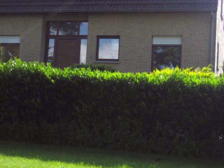 Affichecampagne-JPT-060